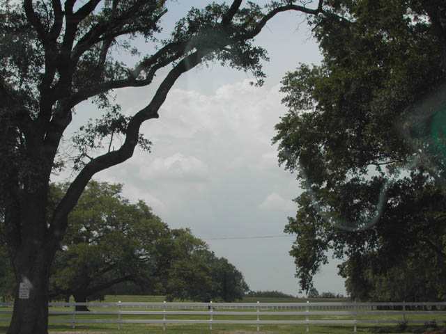 louisiana - on the road