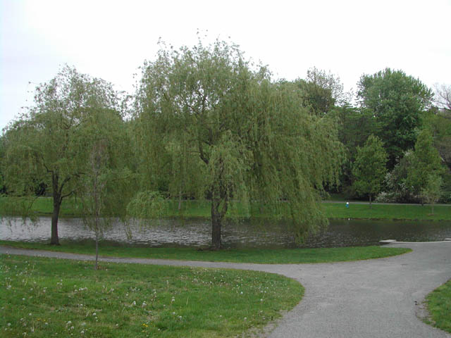 boston - lars andersen park