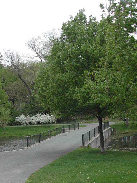 boston - lars andersen park