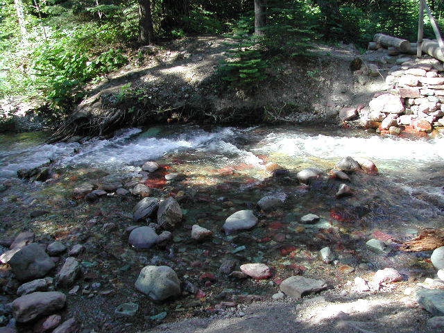 montana - glacier national park