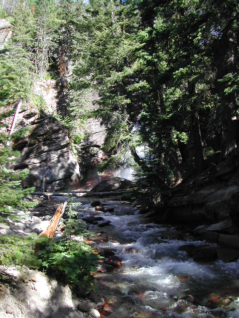 montana - glacier national park