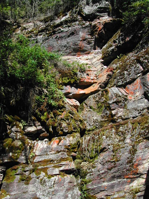 montana - glacier national park