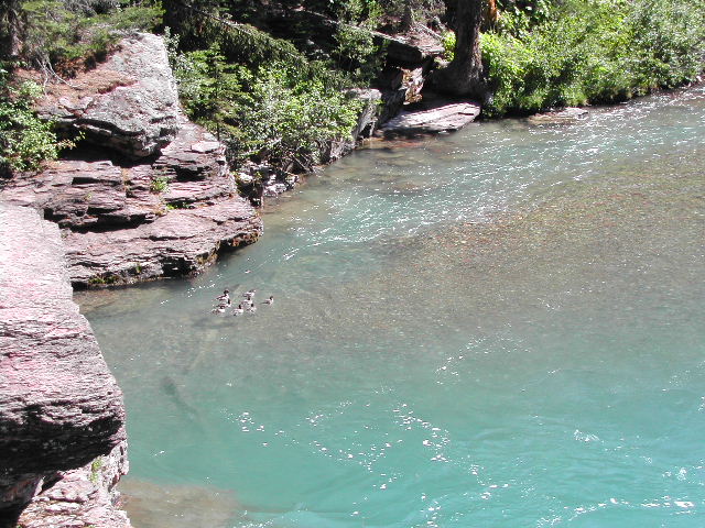 montana - glacier national park