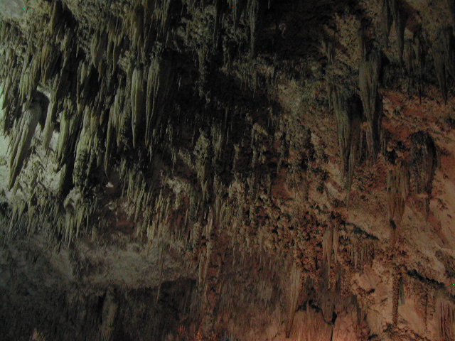 new mexico - carlsbad caverns