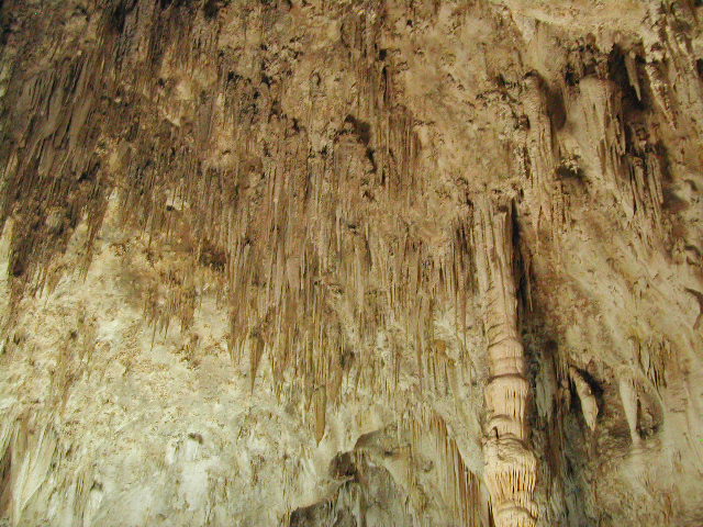 new mexico - carlsbad caverns