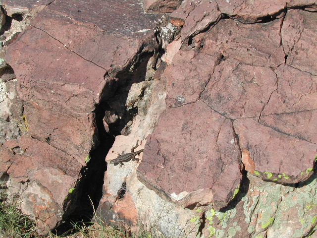 new mexico - valley of fires