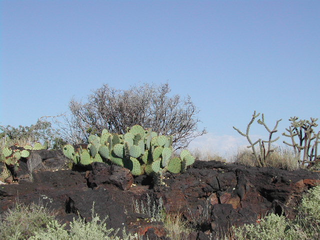 new mexico - valley of fires