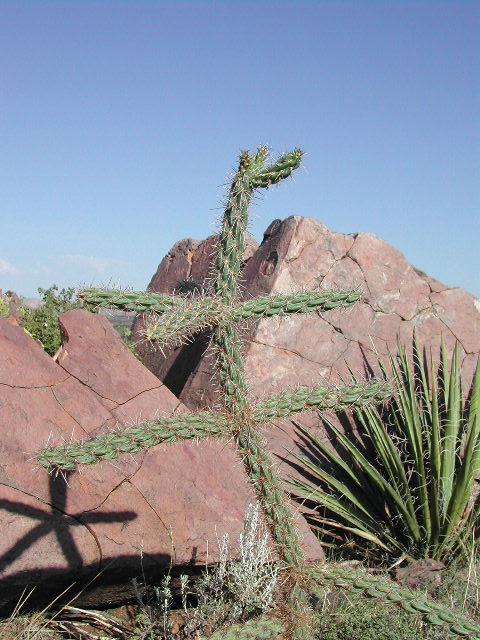 new mexico - valley of fires