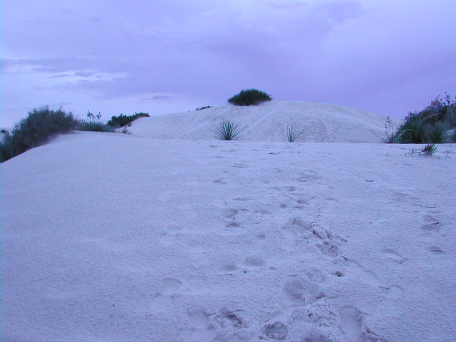 new mexico - white sands national park