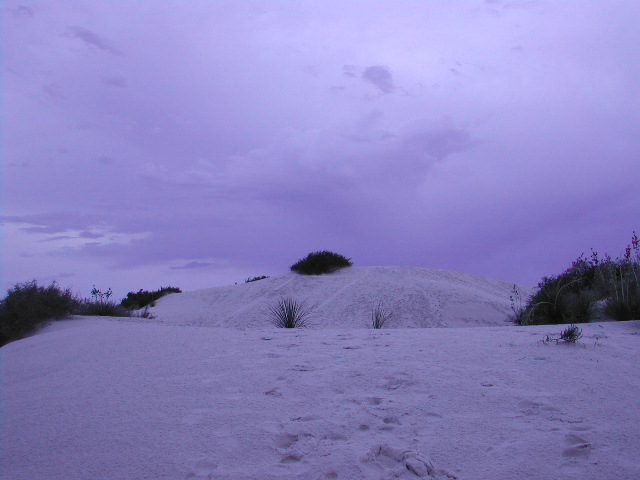 new mexico - white sands national park