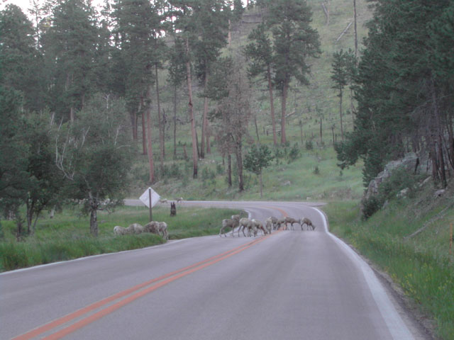 south dakota - black hills