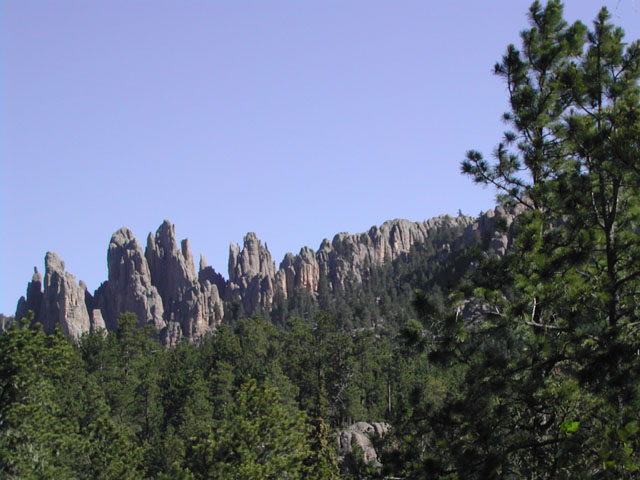 south dakota - custer state park