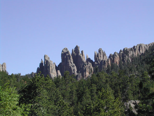 south dakota - custer state park