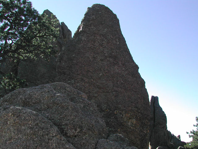 south dakota - custer state park