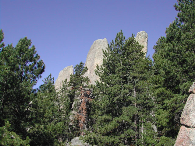 south dakota - custer state park