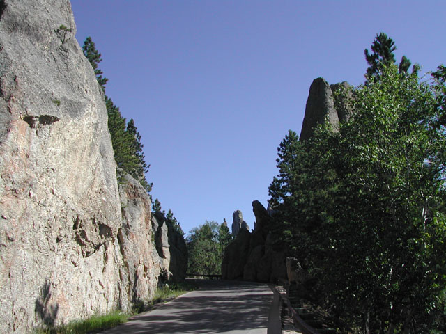 south dakota - custer state park