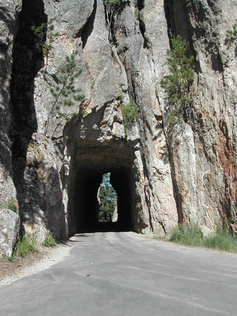 south dakota - custer state park