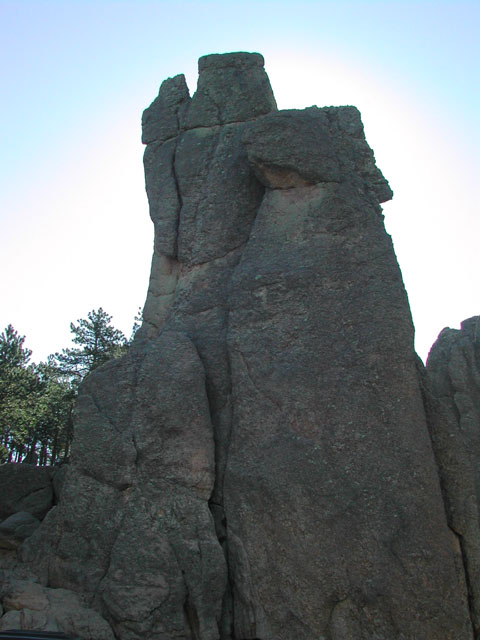 south dakota - custer state park