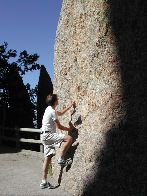 south dakota - custer state park