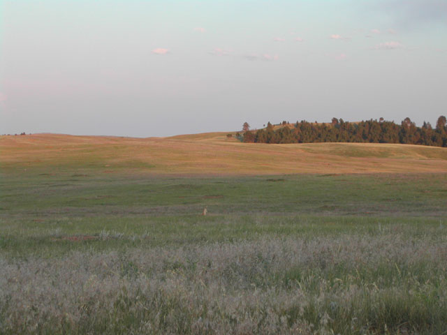 south dakota - on the road