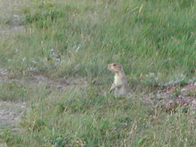 south dakota - on the road