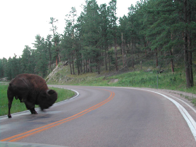 south dakota - on the road