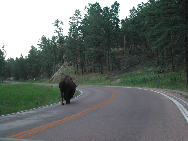 south dakota - on the road