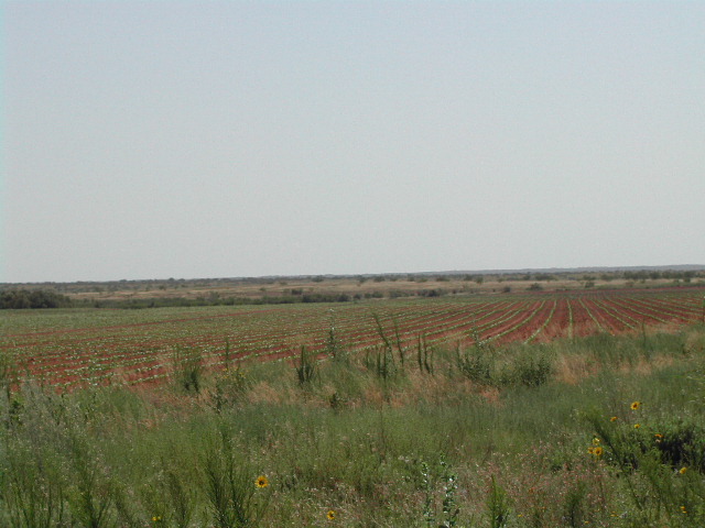 texas - on the road