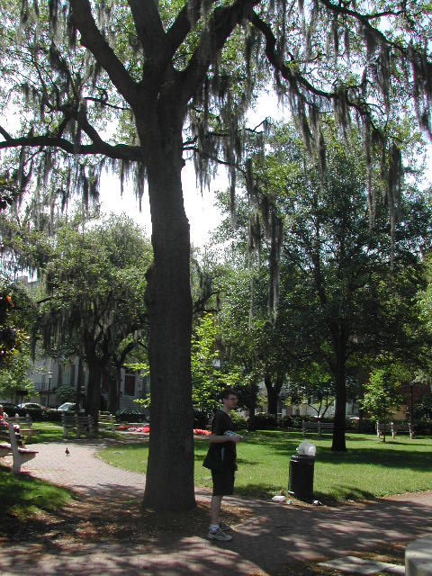 georgia - savannah