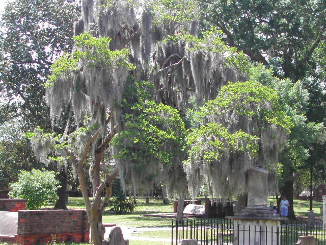 georgia - savannah