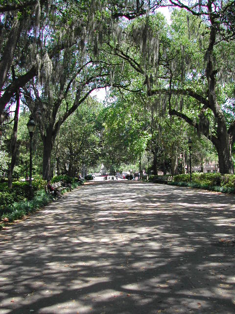 georgia - savannah