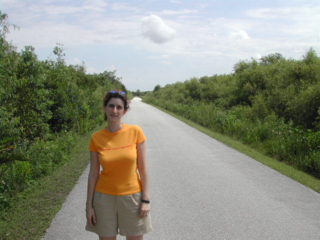 florida - the everglades