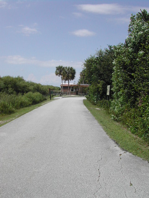 florida - the everglades