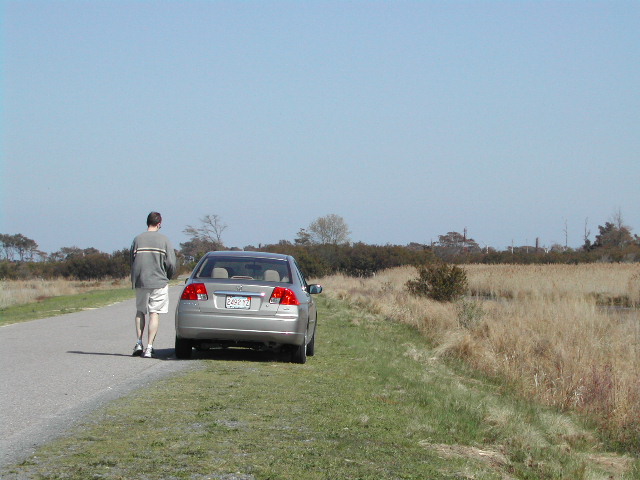 maryland - chincoteague national wildlife refuge