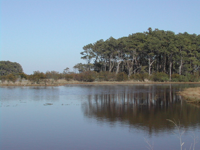 maryland - chincoteague national wildlife refuge