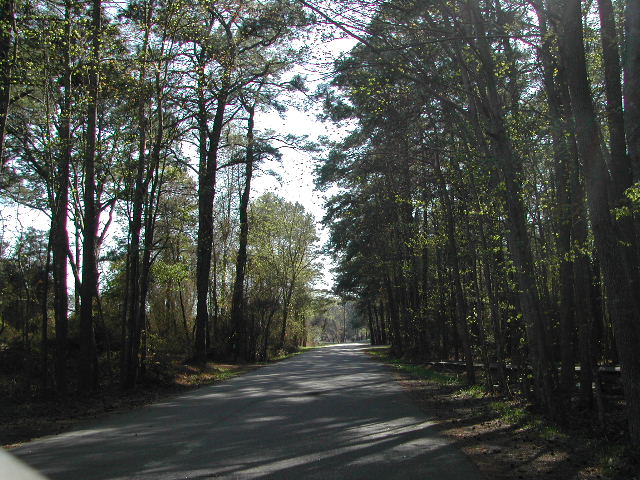 maryland - chincoteague national wildlife refuge