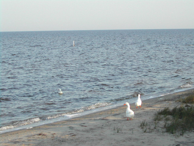 north carolina - the outerbanks