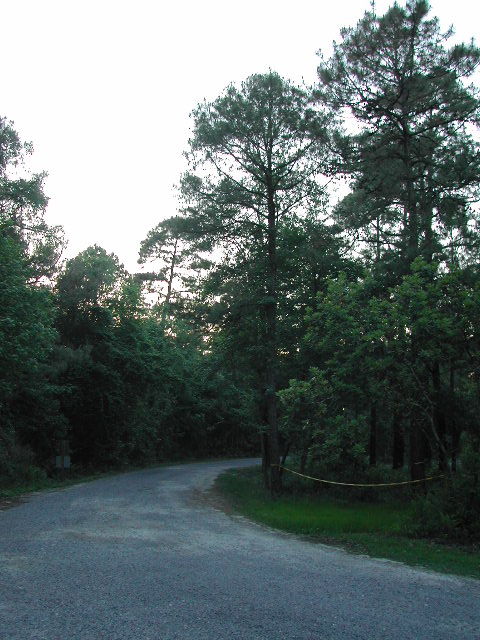 south carolina - charleston