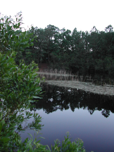 south carolina - charleston