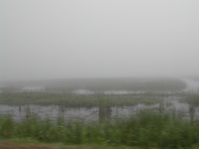 south carolina - charleston