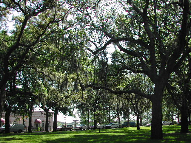 georgia - savannah