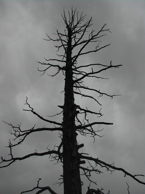 utah - bryce canyon national park