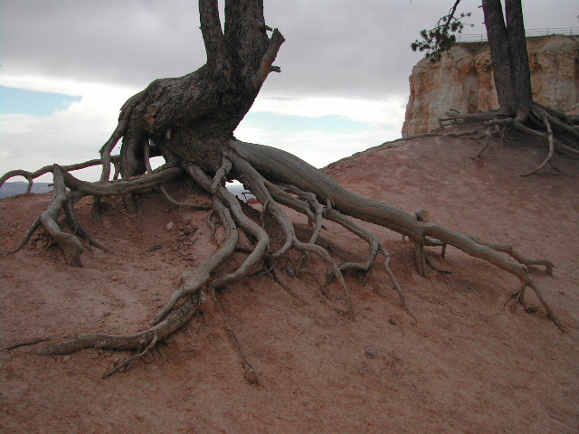 utah - bryce canyon national park