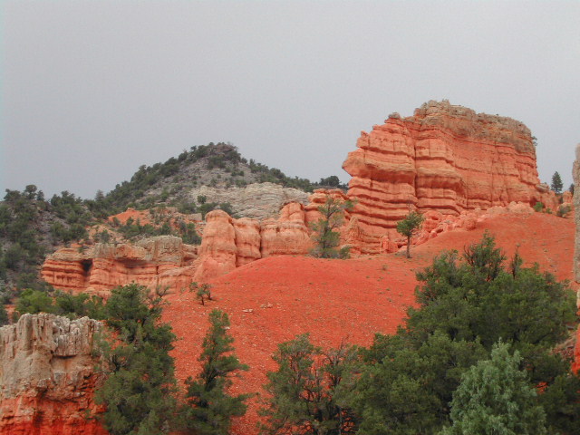 utah - red canyon