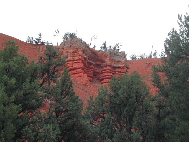 utah - red canyon