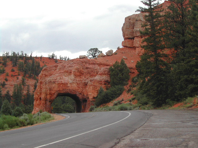 utah - red canyon