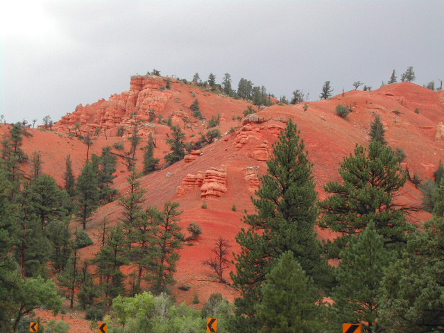 utah - red canyon