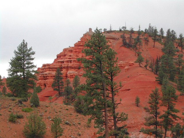 utah - red canyon