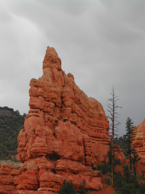 utah - red canyon