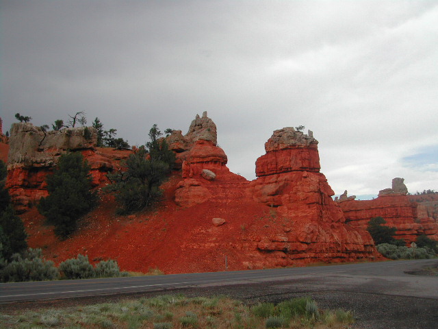 utah - red canyon